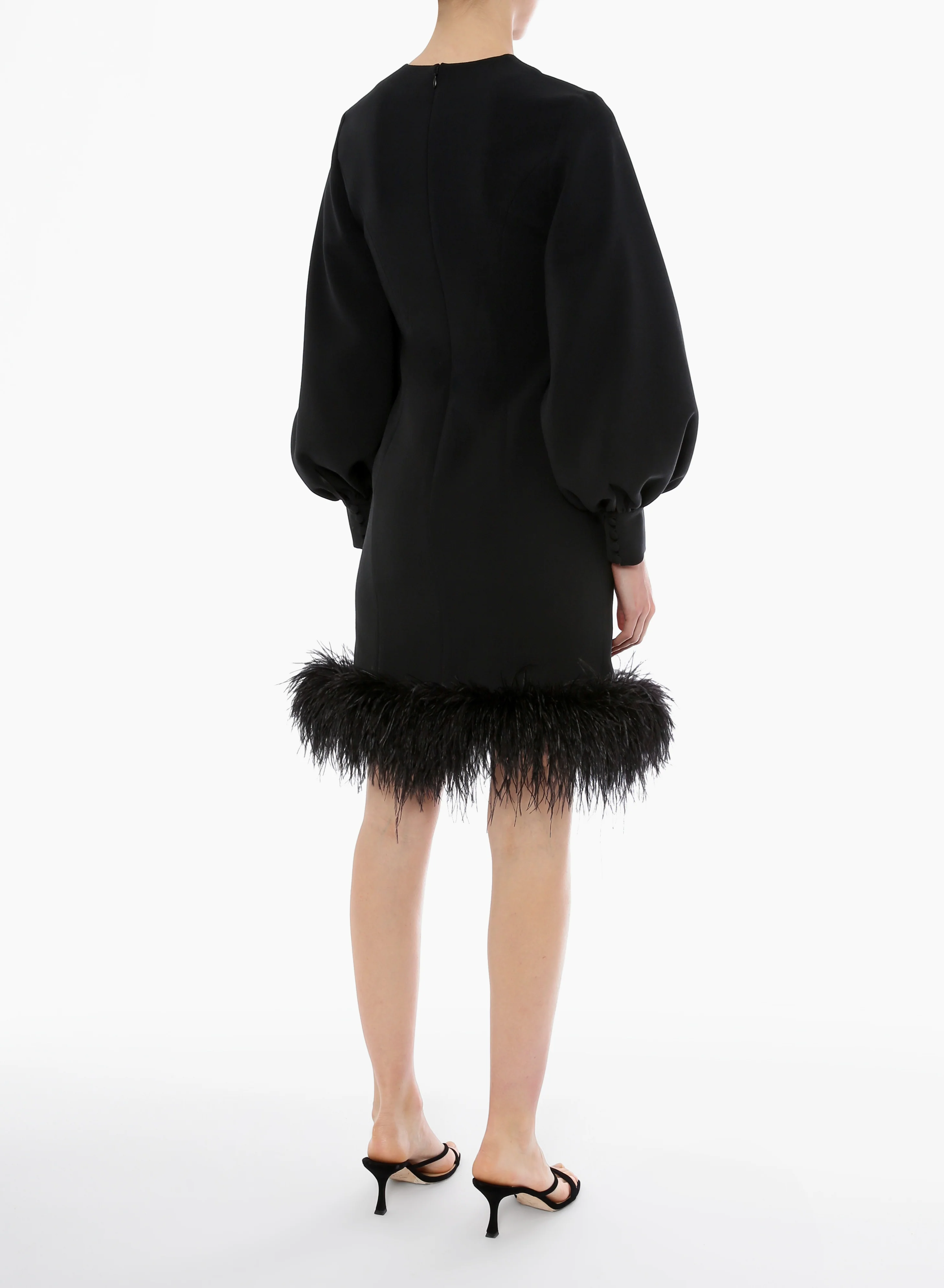 Huishan Zhang - Perry - Image 3